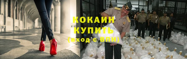 spice Бородино