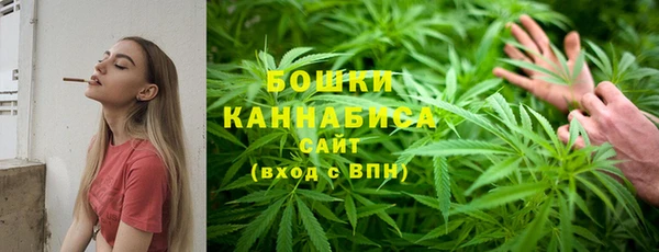 spice Бородино