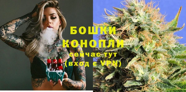 spice Бородино