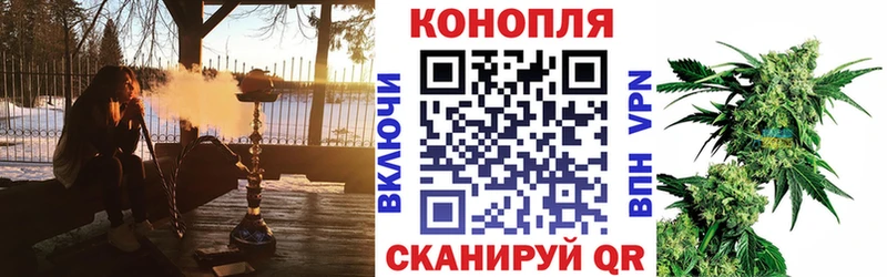 наркотики  Иннополис  Конопля MAZAR 